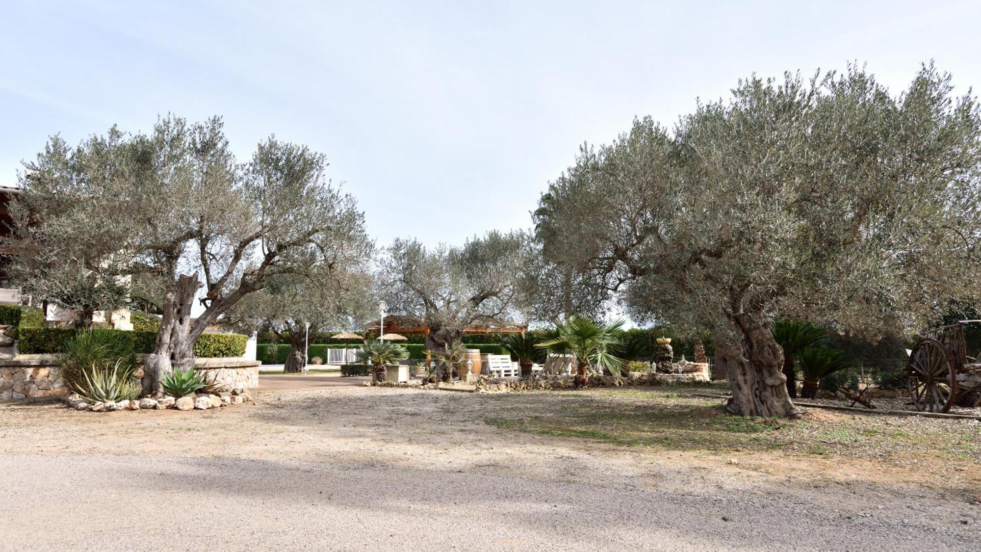 Sa Tanca Gran Villa Sineu  Exterior foto