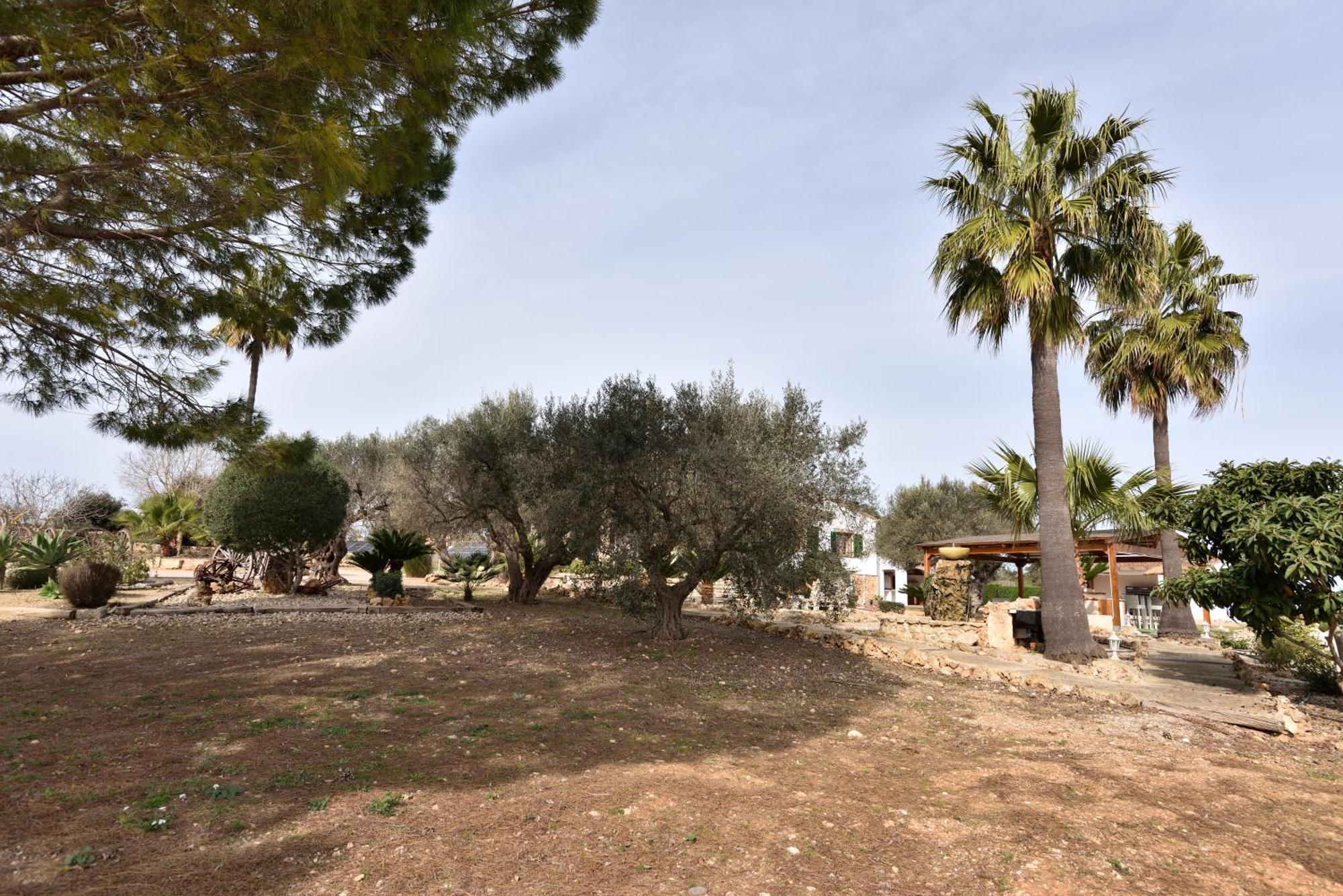 Sa Tanca Gran Villa Sineu  Exterior foto