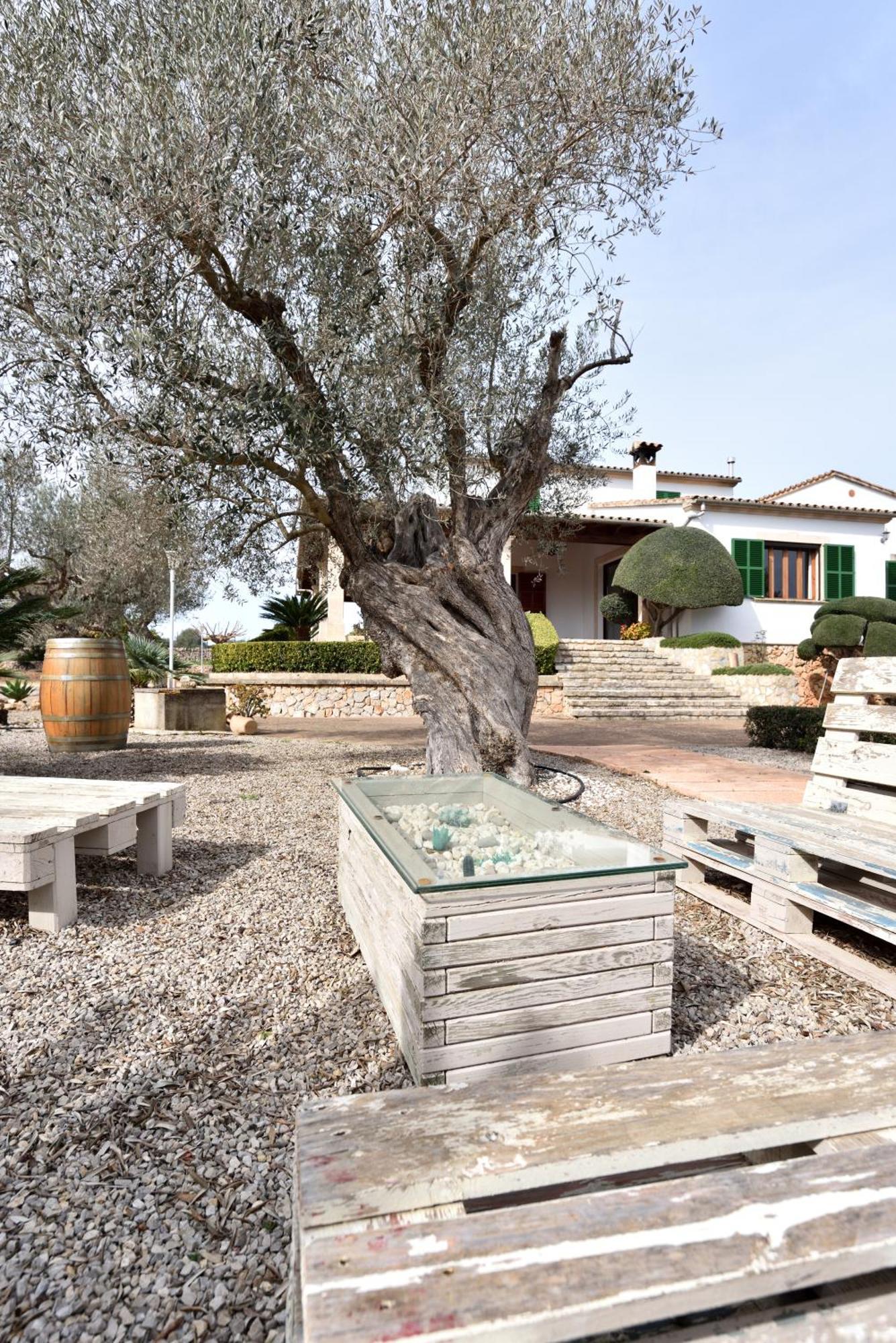 Sa Tanca Gran Villa Sineu  Exterior foto